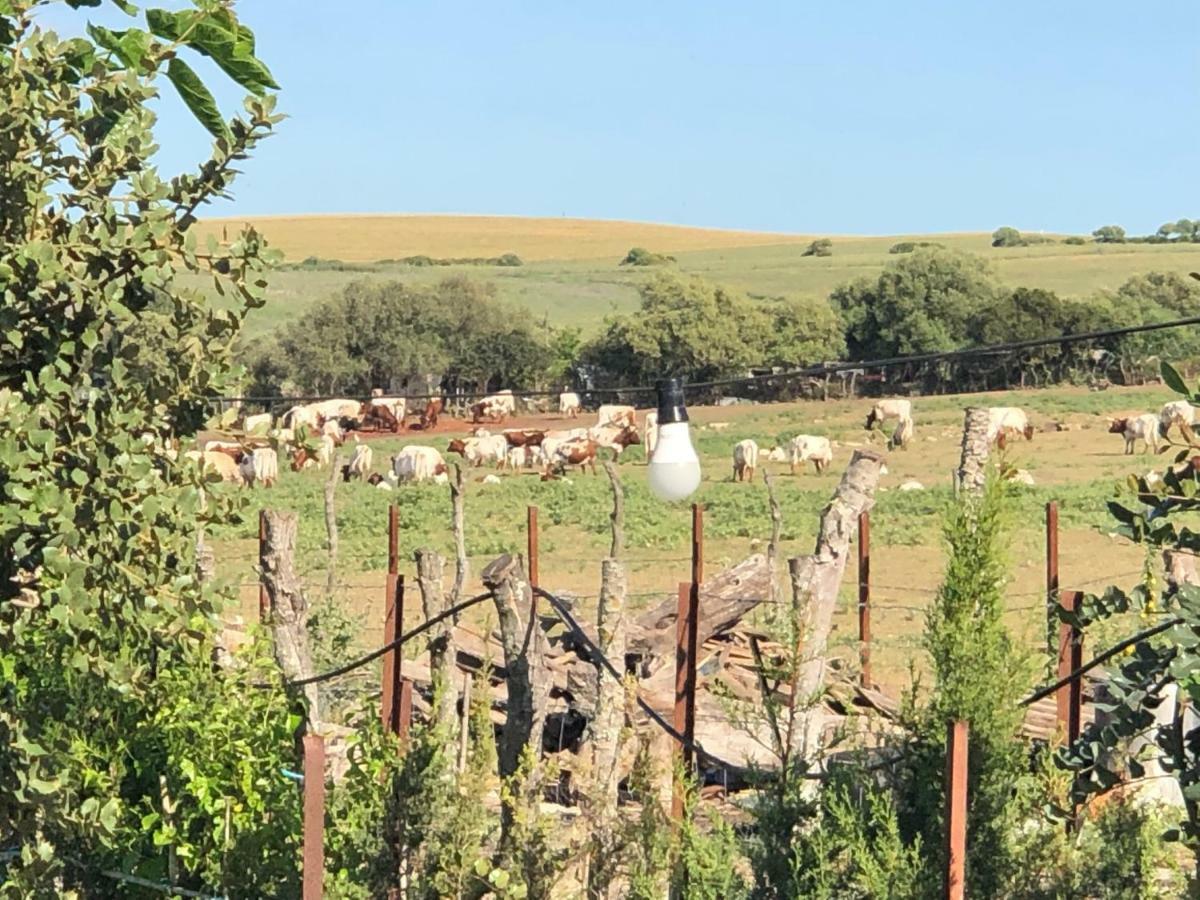 Alojamiento Rural El Soldao Medina-Sidonia Luaran gambar
